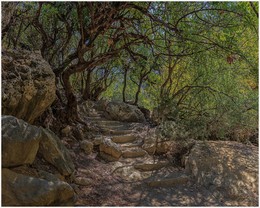 Горные ступени / горы Кипра