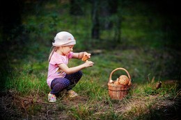 Прогулка за грибами / Прогулка за грибами