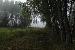 Предосеннее / Туман в перелесках...