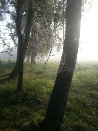 Не бермудский треугольник / Паутинка в три угла