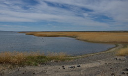 &nbsp; / Бухтарма...