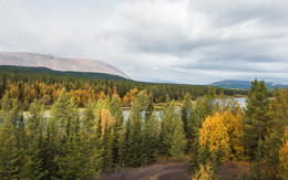 " Навстречу осени " / ***