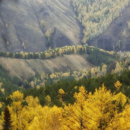 Осенние мотивы.... / ***