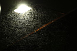 Траектории. / Траектории полёта мушек.