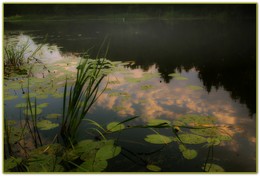 Туман над рекой / ***