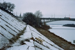 Собака на склоне / пять букв