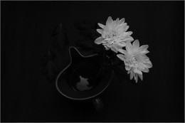 &nbsp; / Натюрморт