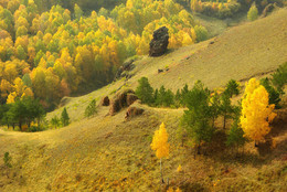 Краски осени.... / ***