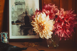 осенние цветы / ...