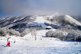 Лыжный склон / Зимой в горах на лыжах