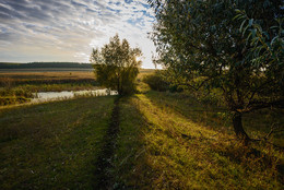 Не лунная дорожка / Тропа к пруду.