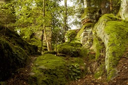 Горными тропами.... / --------