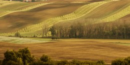 Южная Моравия / -------