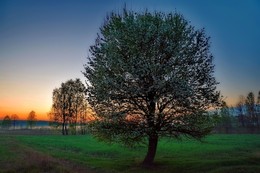 Майское утро / рассвет, май, природа