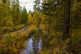 Осенний этюд / Сентябрь на Урале