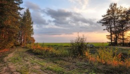 последний луч / сентябрь, вечер, солнце заходит, недалеко лес