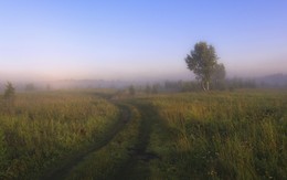 Колыбельная тумана.(2) / ***