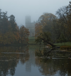 &nbsp; / гатчинский парк