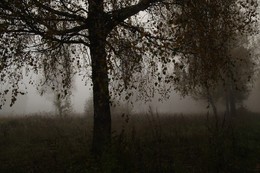 Осенние грёзы # 2 / То же туманное утро