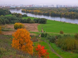 Осень в Коломенском / ***