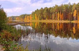 Осенние впечатления / Разгар осени, ещё все красиво, нет в природе уныния!