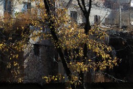  / ростов-на-дону