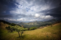 заповедный Кара Даг / весной