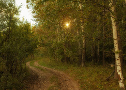 Последний лучик / Московская область, Серебряные Пруды