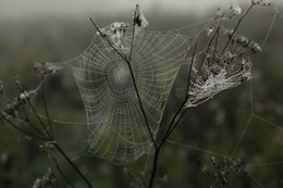 Не бабье лето / ------