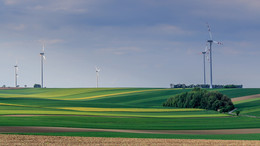 Полевая индустрия: сажали рожь, выросли ветряки... / Австрия. Парк ветро-генераторов.