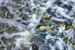 &quot;леопардовая шубка&quot; воды / течет вода