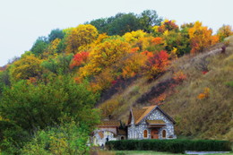 Осенняя разукрашка / ***