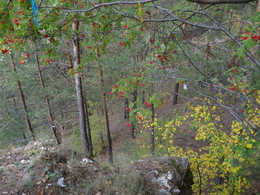 Осенняя разукрашка / камень Ермак, Пермский край