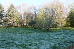 Осенняя разукрашка / Первые заморозки