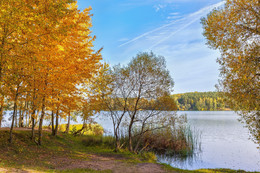 Осенняя разукрашка / Осеннее озеро