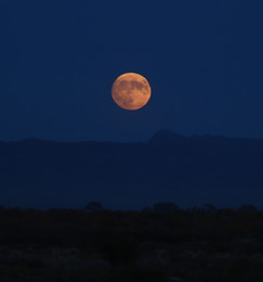 Moon. / Алтын - Эмель.