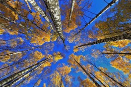  / Осень