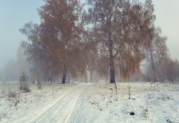 Запах зимы. / ***