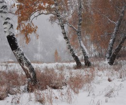 Осенний снегопад.... / г.Красноярск Торгашинский хребет