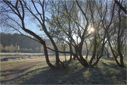 первые заморозки / ***