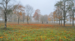 осенний марафон / октябрь, утро, туман, парк, красиво