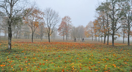 осенний марафон / октябрь, утро, туман, парк, красиво