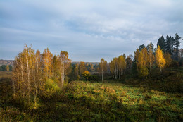 Осенняя прогулка. / не далеко от Тулы