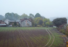 Утро на польской ферме ... / Утро ... (из окна поезда)