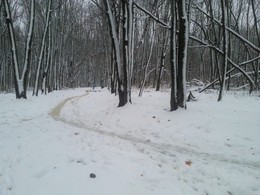 Вот новый поворот / Раннее утро в парке