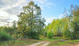 на отшибе / осень, октябрь, лес, домик в лесу