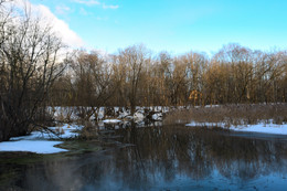 Ранняя весна / Север Подмосковья
