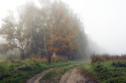 Туманными дорогами осени / ***