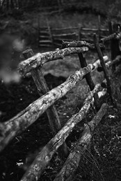 &nbsp; / лесопарк, забор, осень