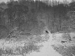 Новые кружева зимы / Накануне выпал снег...